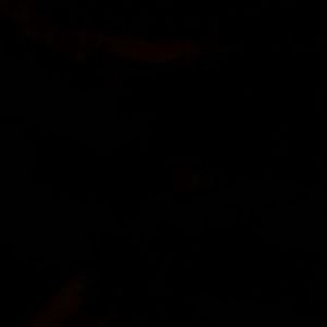 Meet your Posher, Keely